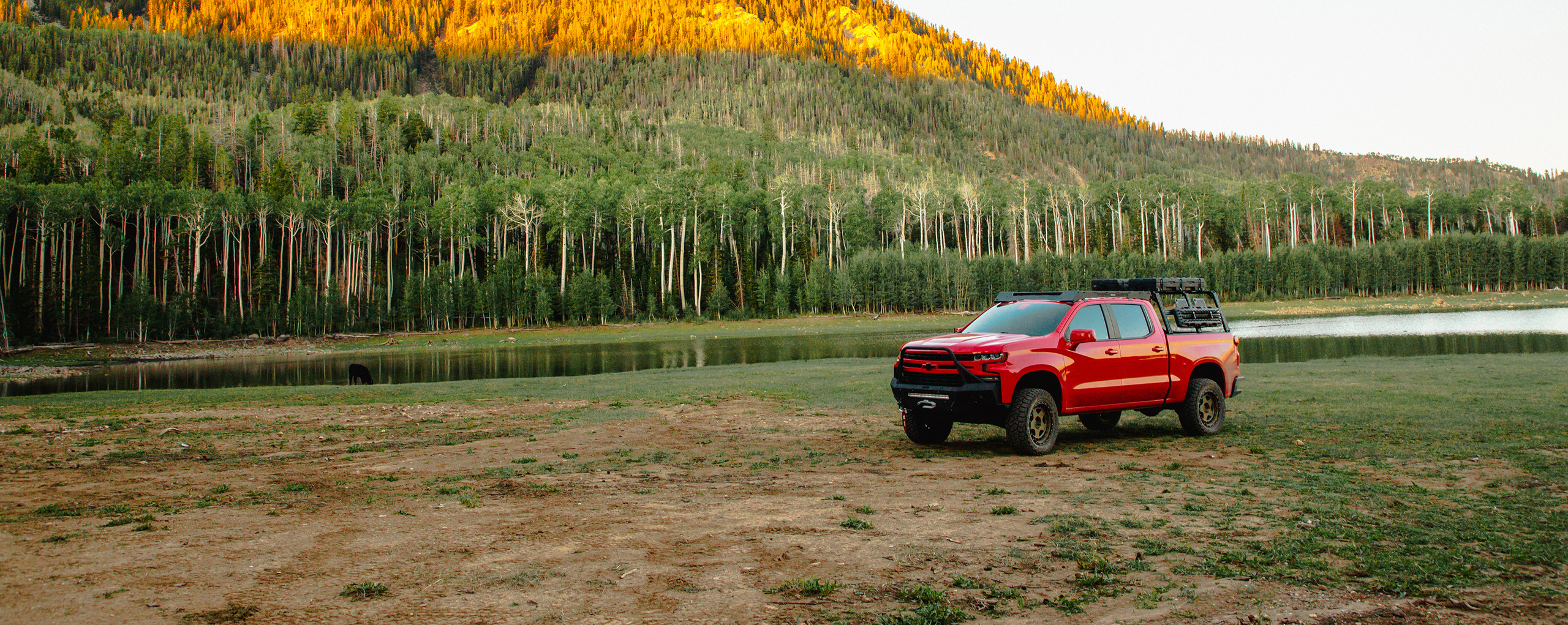 Lifting - Shocks & Struts - Belltech