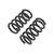 COIL SPRING SET | 1 INCH FRONT LOWERING - 4228