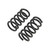 COIL SPRING SET | 1 INCH FRONT LOWERING - 4227