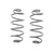 MUSCLE CAR SPRING SET - 5118