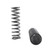 MUSCLE CAR SPRING SET - 5142