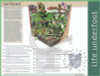 Life Underfoot rainforest layers and detailed description poster/chart