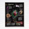 Black Metal Framed Heart Facts Poster Image