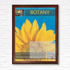 Botany Biology Career Path Cherry Wood Framed Poster