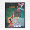 STEM- Genetics Poster/Banner Career Choices Framed Black Metal Framed Poster