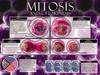 03-PS05-6 Mitosis