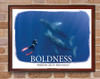 03-PS117-2 Boldness