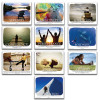 Get Inspired  (Series of 10) posters © Jaguar Educational Inc. Get Inspired  (Series of 10) posters © Jaguar Educational Inc.