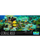 08-CE9369-1 Coral Reef