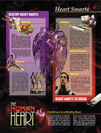 Heart Smarts Poster Image