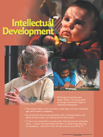 Intellectual Development Poster