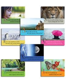 Expressions of Character  (Series of 8) © Jaguar Educational Inc.