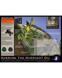 Biofuel Poster