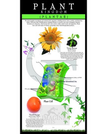 Plant Kingdom Poster Science, biology