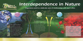 08-CE3400-7 Interdependence
