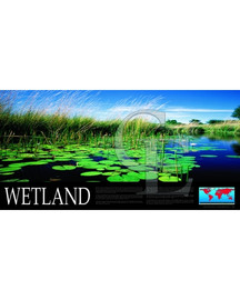 08-CE9369-10 Wetland