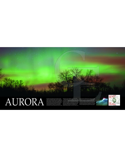 08-CE27204-6 Aurora