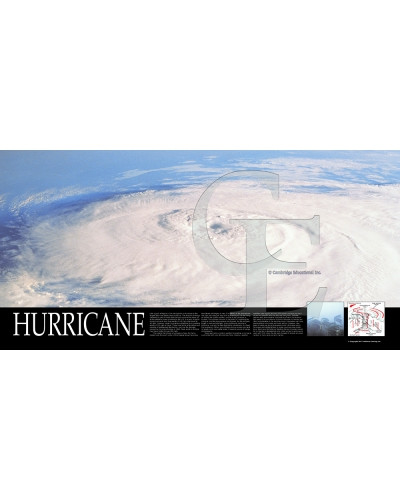 08-CE27204-7 Hurricane