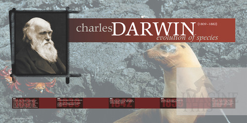 08-CE29401-3 Darwin