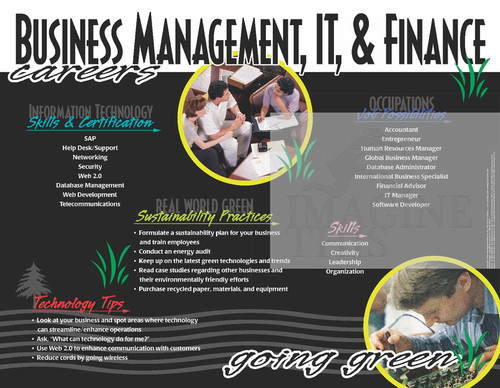 Business Management, IT & Finance Careers