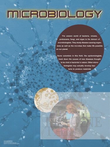 STEM Microbiology Career Poster