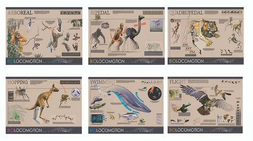 Biolocomotion Poster Series