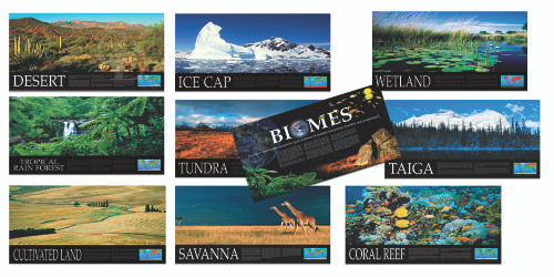 World Biomes Series of 10