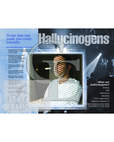 08-CE3703-4 Hallucinogens