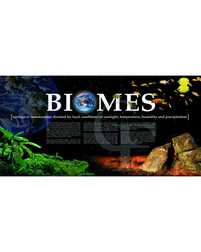 08-CE9369-2 Biomes