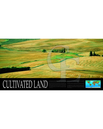 08-CE9369-3 Cultivated Land