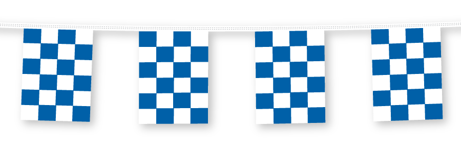 Starter Rectangle Pennants - Blue
