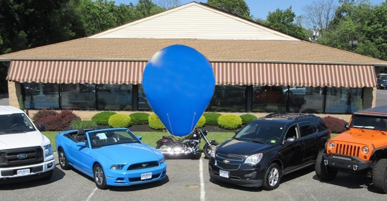 Hot air shaped balloon