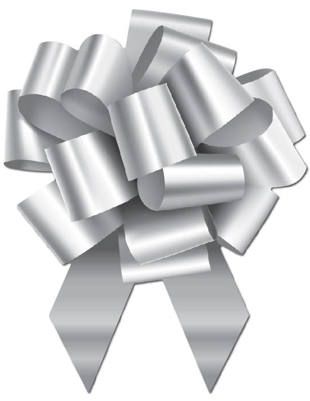 Window Bows Silver