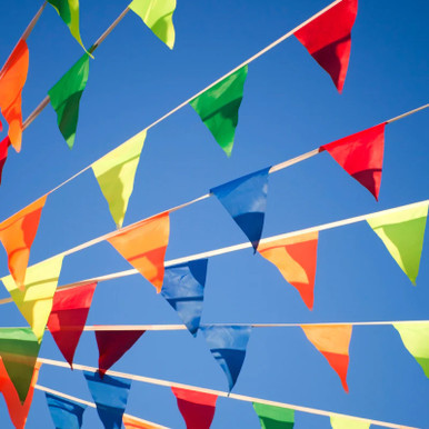 Polyethyene Pennants