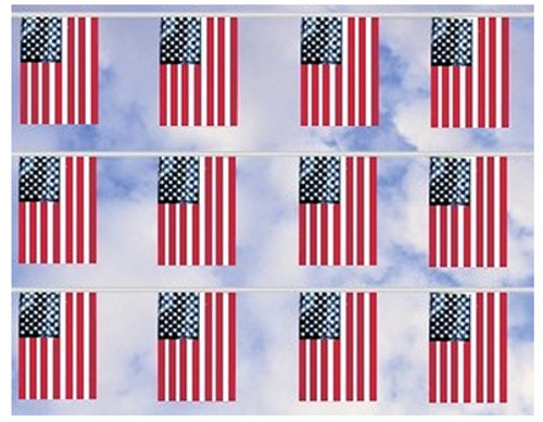 American Flag Pennants Polyethylene (EZ-310)