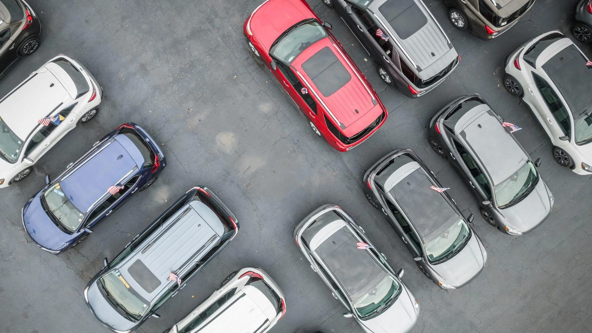 Why Every Dealership Needs Custom Swooper Flags