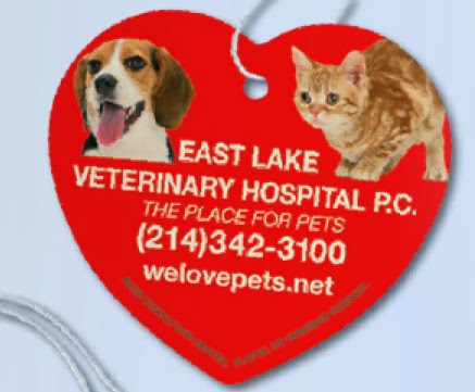 Auto Dealer Products that Draw Attention!