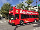 The Best Way to Tour Miami