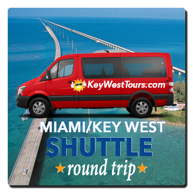 Hop-on Hop-Off Miami Bus Tour $24