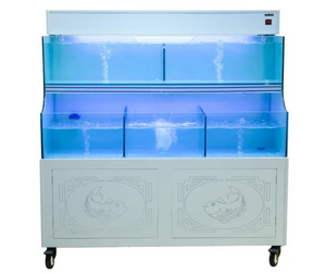 Custom Acrylic Lobster Tank - 2 Tier Custom Acrylic Lobster Tank - 2 Tier