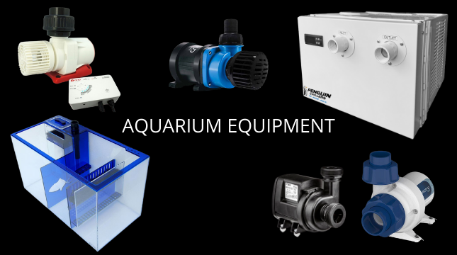 Aquaruim Equipment