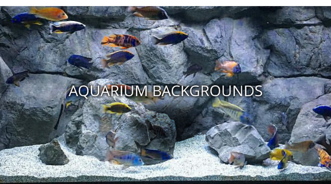 Aquarium Backgrounds