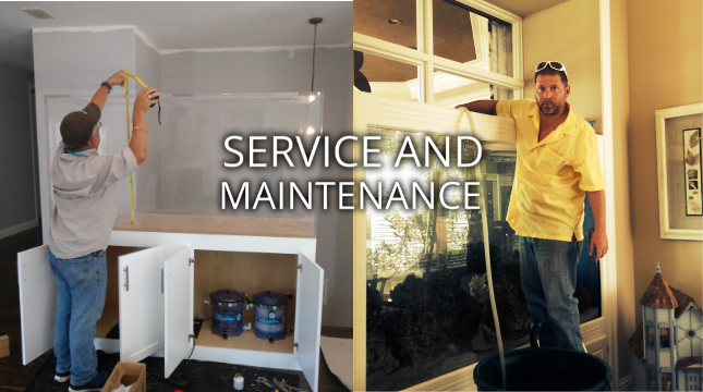 Service and Maintenance