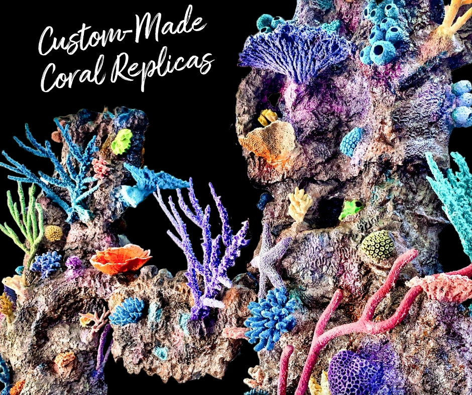 seaclearaquariumcoralreplicas.png