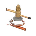 Expansion Valve