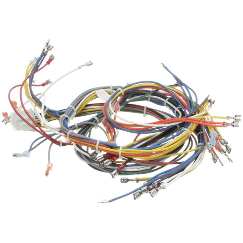 Blodgett - 20018 - Harness Wiring Inf 2Sp