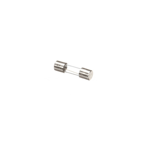 X00570 - Globe - Control Transformer Fuse
