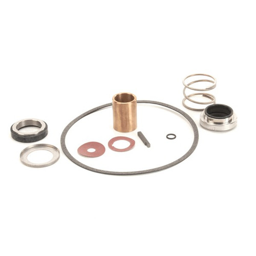 22462 - Power Soak - Pump Seal Kit - Burks (I )