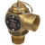 561160 - Mavrik - 50 PSI 1/2 in Steam Safety Valve