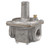 1 in Natural Gas Regulator